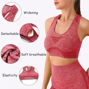 2PCS Seamless Yoga Set